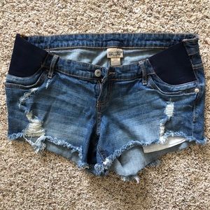 Maternity Jean Shorts